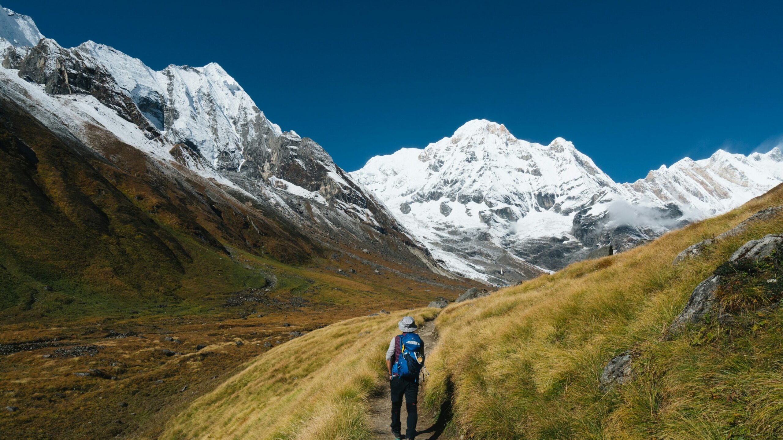 annapurna