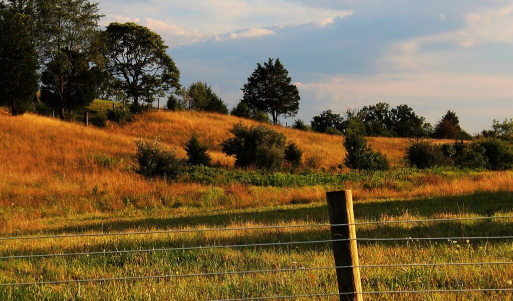 Shenandoah Valley